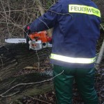 Füllen: Kettensäger
