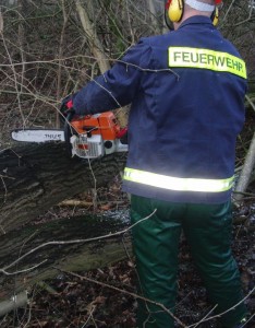 Füllen: Kettensäger